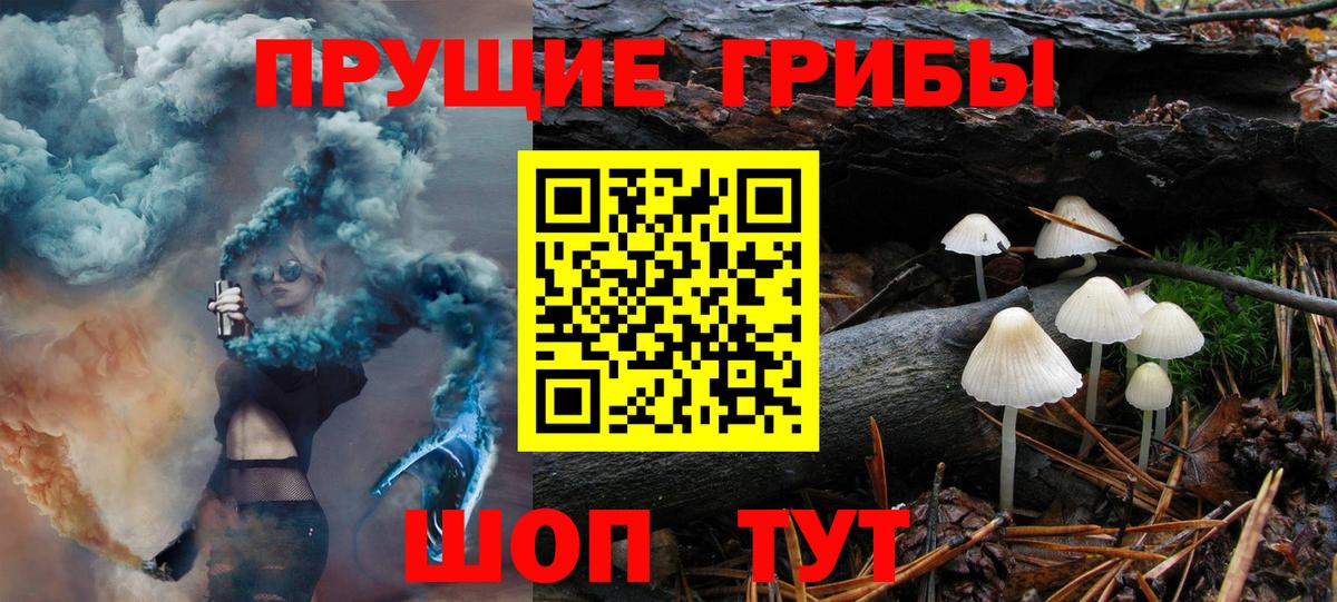Псилоцибиновые грибы Magic Shrooms  Вход с VPN  Псилоцибиновые грибы Psilocybine cubensis  Надым 
